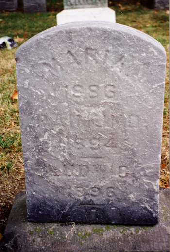 Unknown Ludwig, Maria & Raymond gravemarker